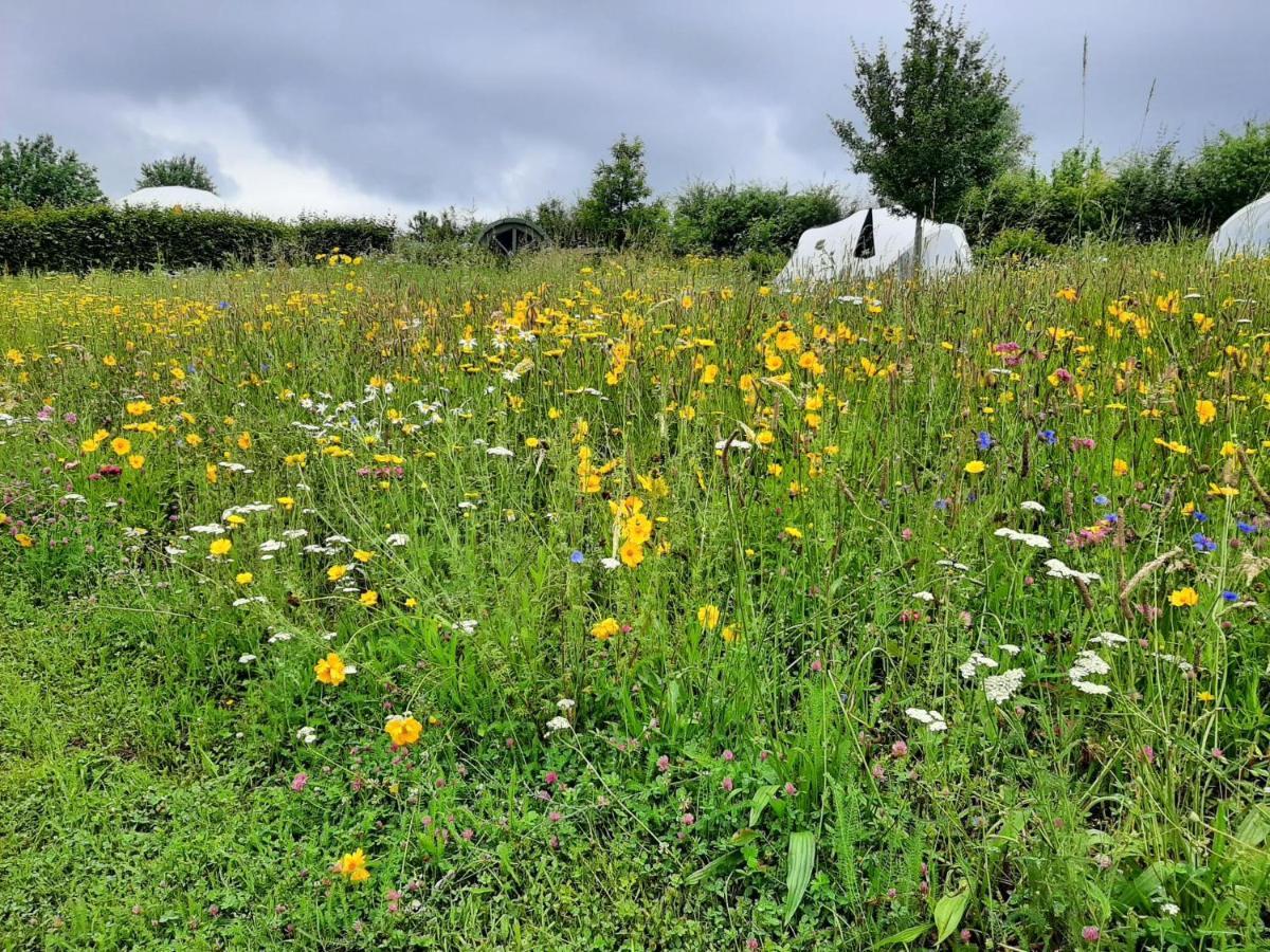 Ecochique Otel Westouter Dış mekan fotoğraf