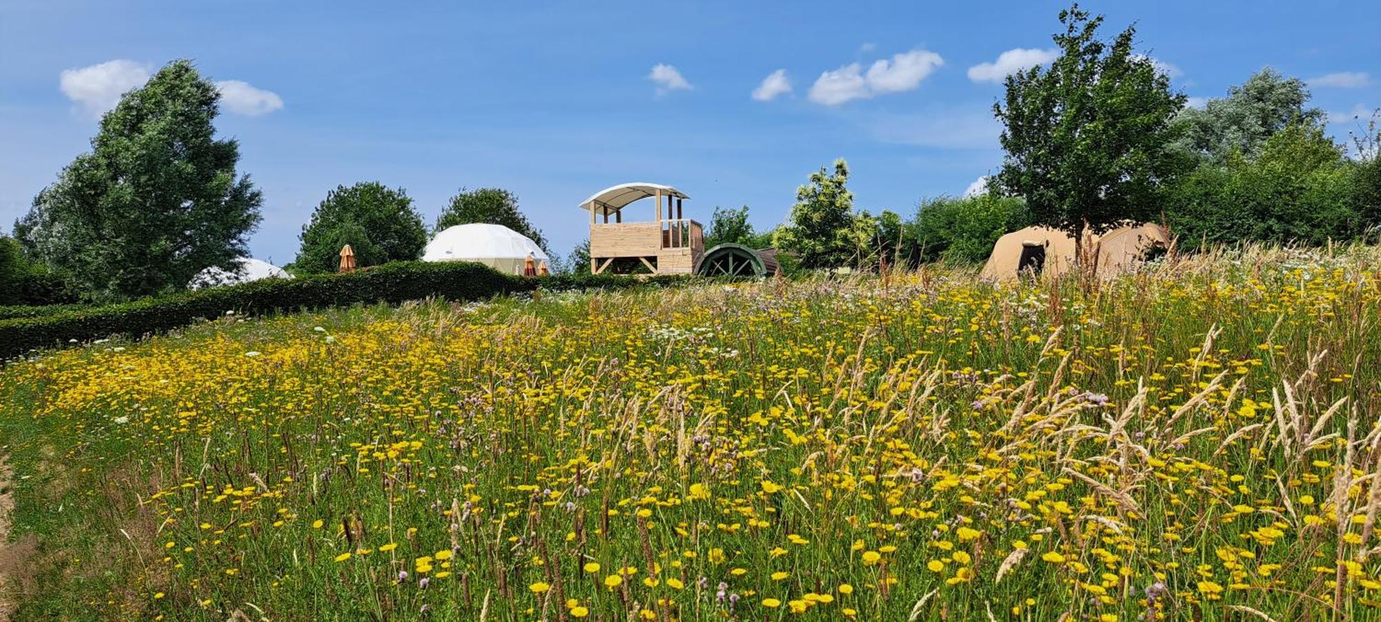 Ecochique Otel Westouter Dış mekan fotoğraf